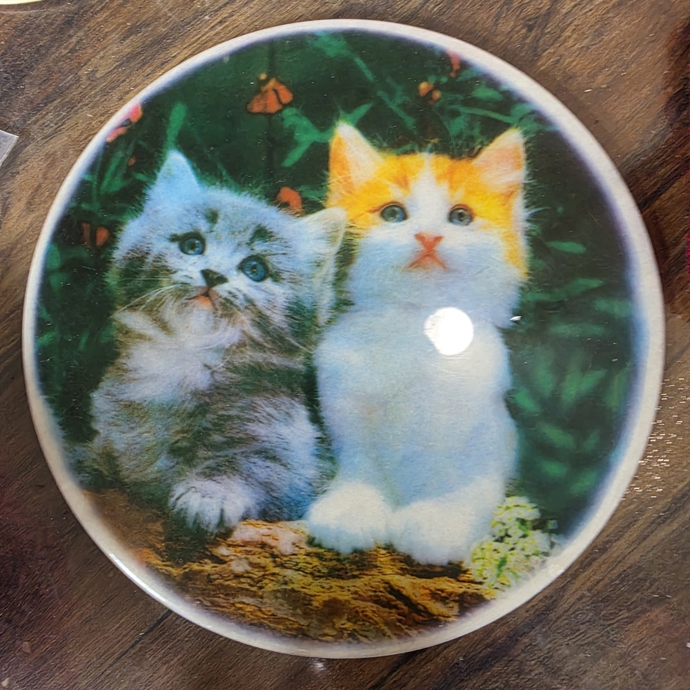 Cute Kitten Decorative Plate with Two Kittens - White, Gray, Orange